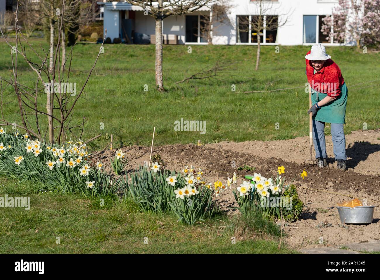 Jardinage Parterres De Fleurs Femme Jardinier Travaillant Avec Des