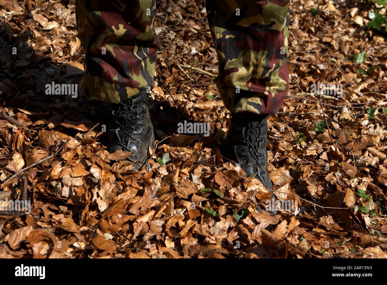 Homme portant un pantalon de camouflage et des bottes de l'armée debout dans des feuilles d'automne tombées dans une forêt caduque au royaume-uni Banque D'Images