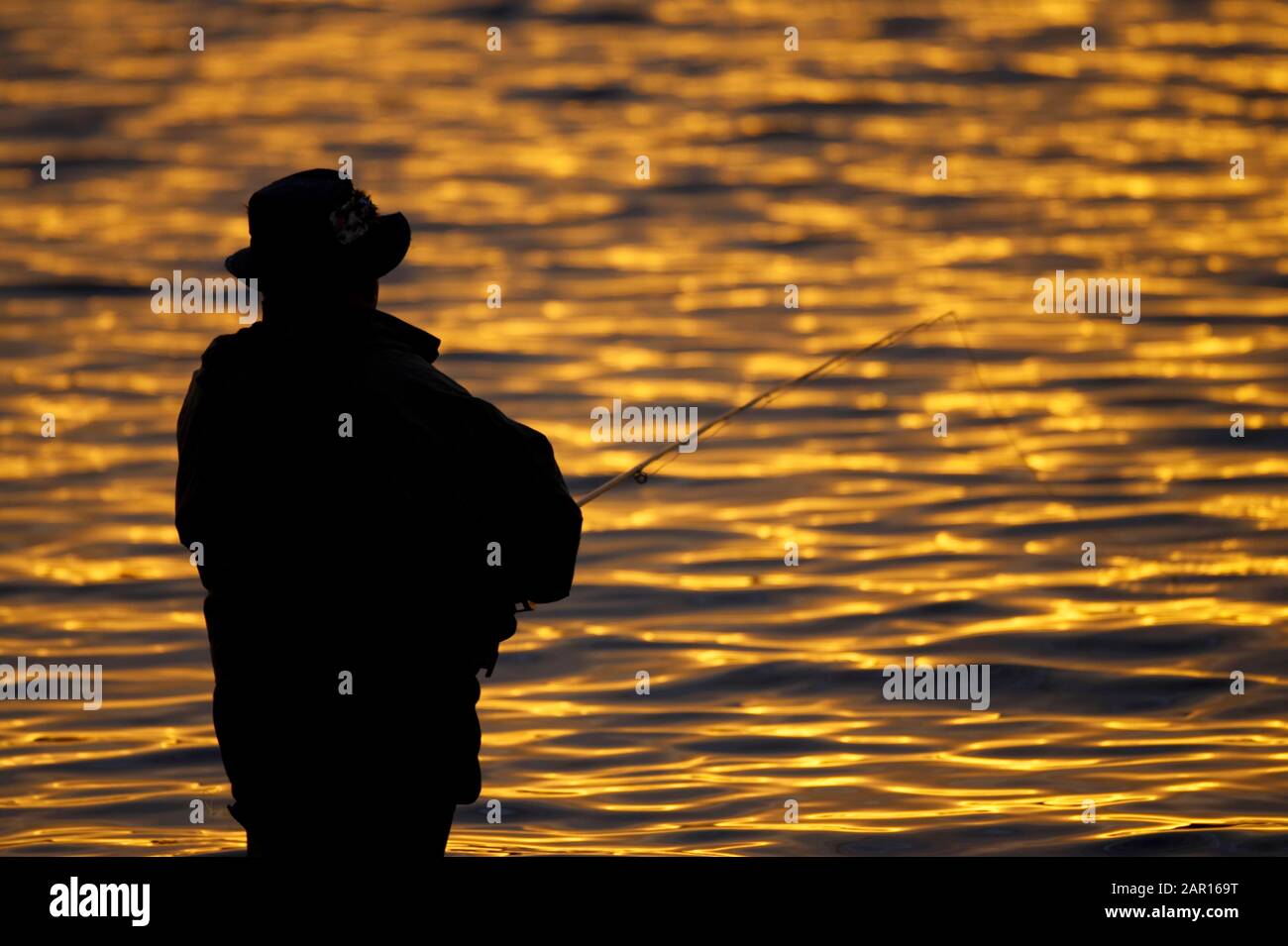 Pêcheur pêche à la mouche se mettant sur le réservoir de Stoneyford au coucher du soleil, comté antrim nord de l'irlande silhouetted contre refléter le soleil de cadre doré Banque D'Images
