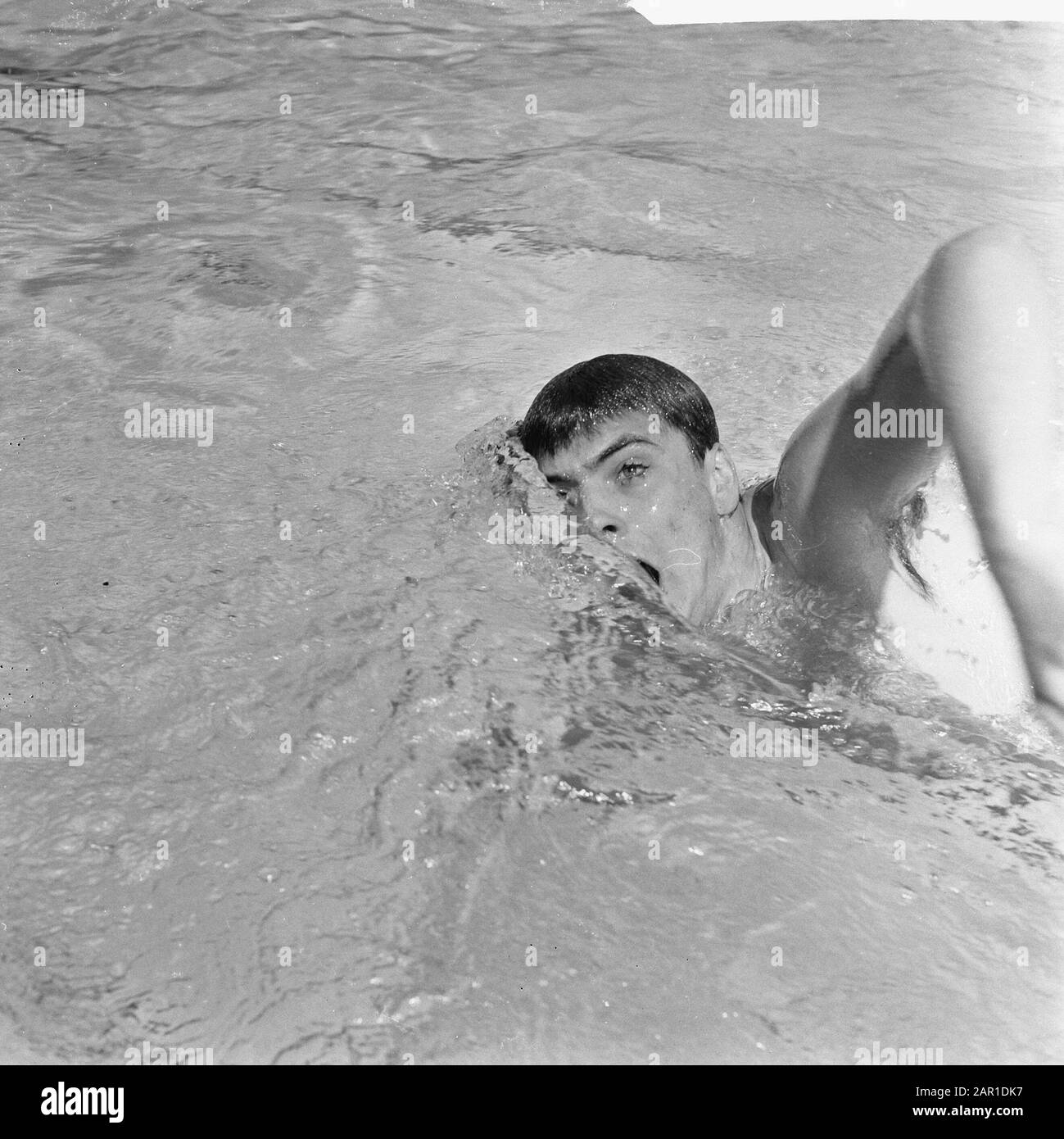 Concours internationaux de natation à Nimègue, Frans Simons (Belgique) record titulaire 200 mètres libre Date: 25 juillet 1965 lieu: Belgique, Nimègue mots clés: Copains, natation Banque D'Images
