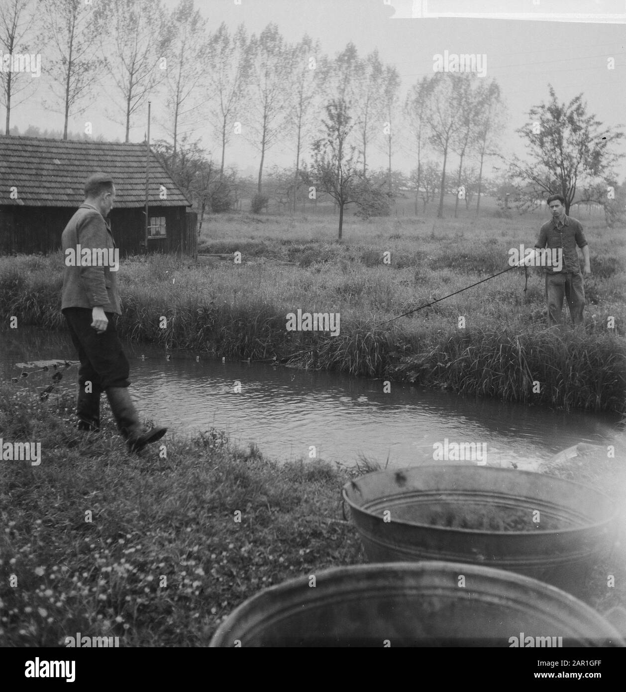 Ferme de la truite pêcher l'homme dans un étang de pêche de la ferme de la truite Date : 28 octobre 1965 mots clés : entreprises agricoles, truite, pêche, pépinières, pêche Banque D'Images