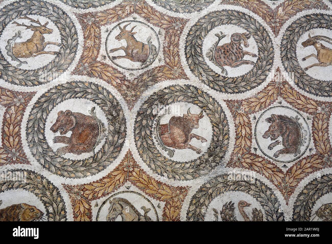 Une ancienne mosaïque romaine de la AD du 4ème siècle trouvée à Thuburbo Magus, montrant des animaux et affichée au Musée national Bardo à Tunis, en Tunisie. Banque D'Images