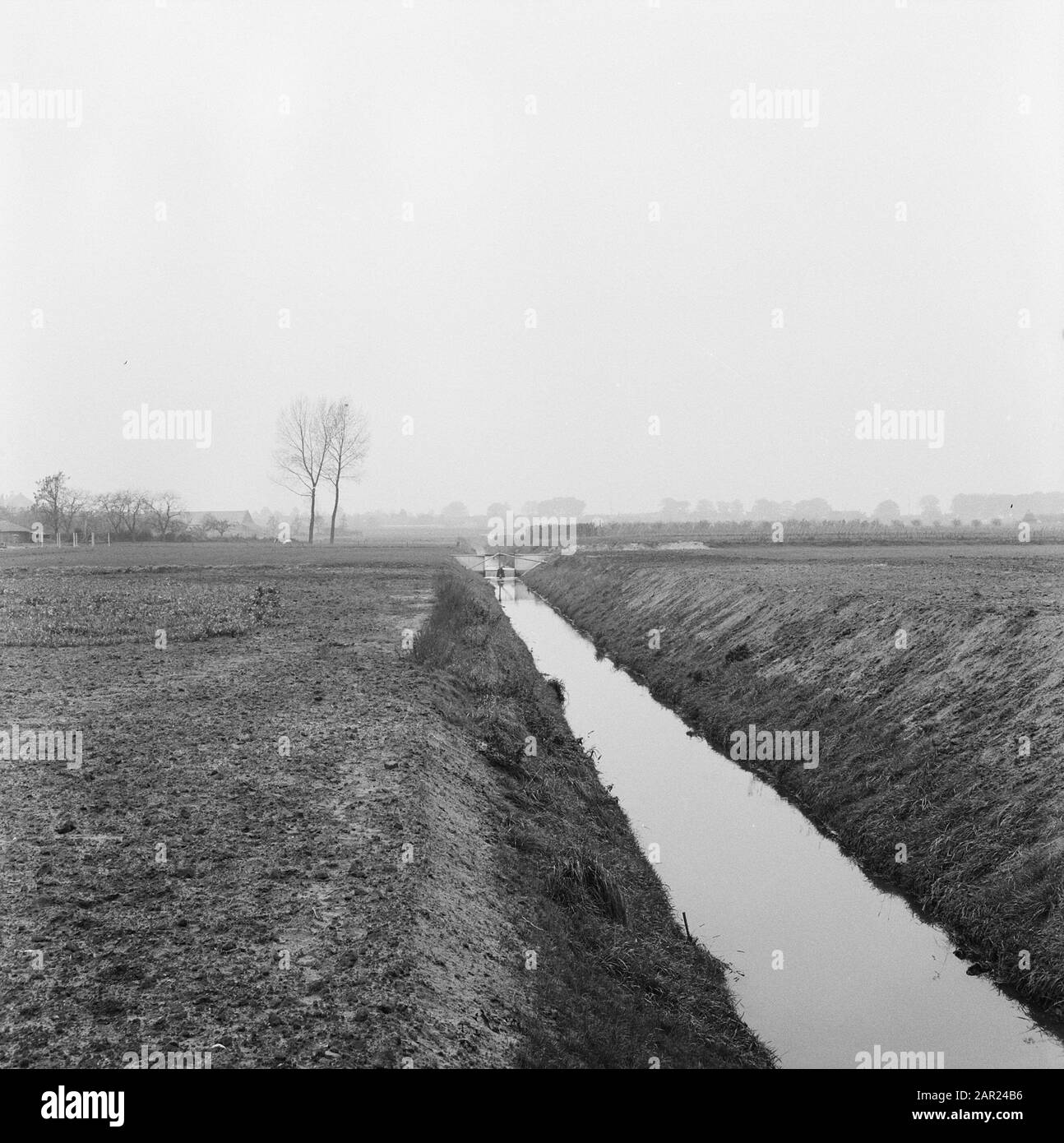Normalisation des cours d'eau, fossés de creusement et d'amortissement, cousus de ponte, plongeurs et jardinage, consolidation des terres, système de dévasage, le horst moyen Date: Octobre 1958 lieu: Baarlo mots clés: Plongeurs et jardinage, fossés de creusage et d'amortissement, cousus d'égout, normalisation des cours d'eau, système de dévastage, consolidation des terres Nom De La Personne: De horst moyen Banque D'Images