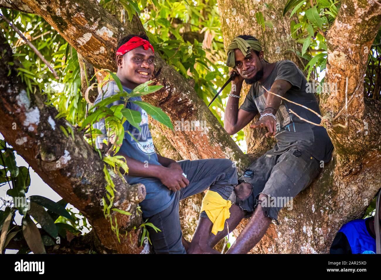De jeunes hommes de Bougainville traînent dans un arbre Banque D'Images