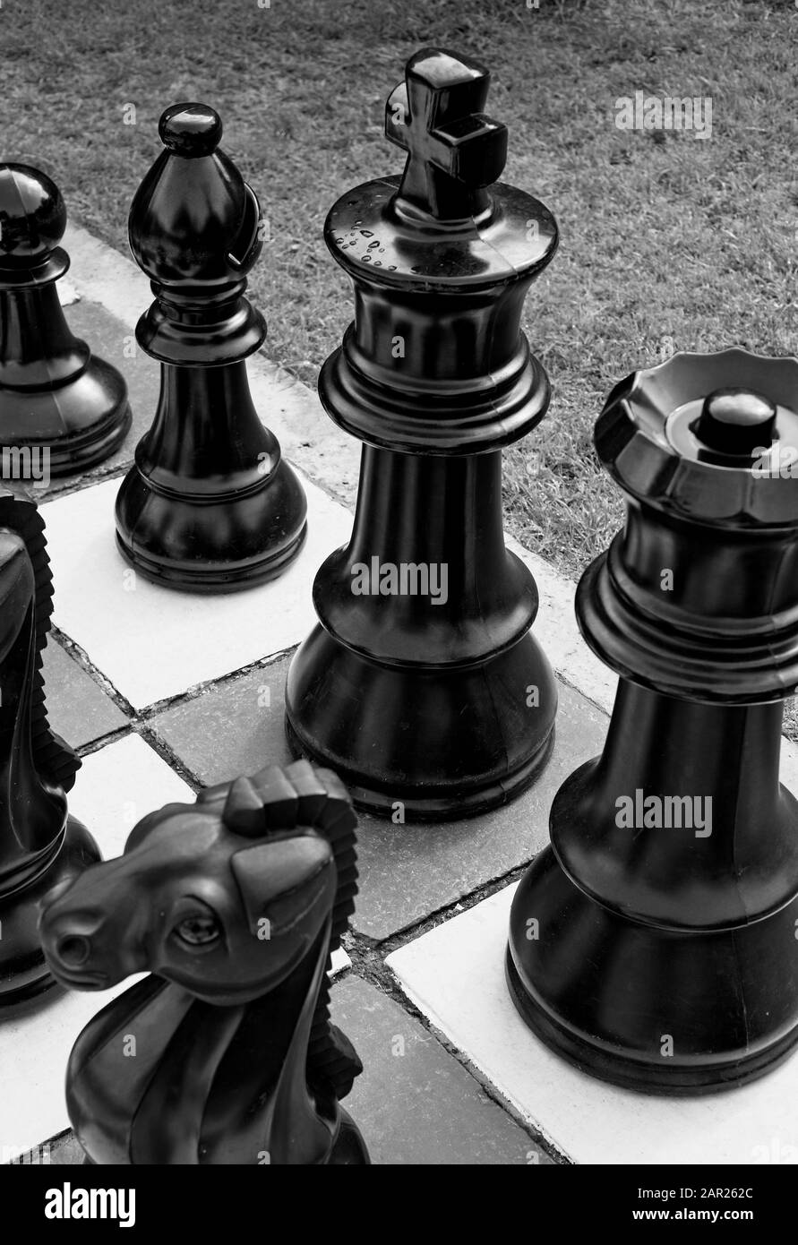 Cliché vertical en échelle de gris de grandes pièces d'échecs sur un échiquier sur l'herbe Banque D'Images