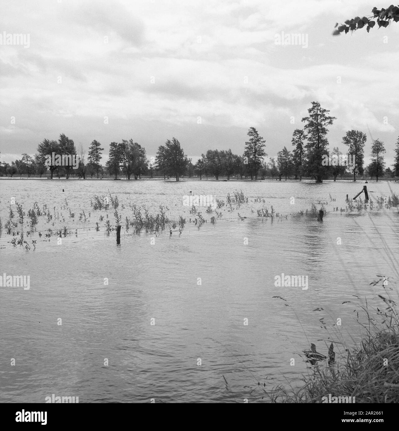 Normalisation des cours d'eau, fossés de creusement et d'amortissement, égouts de pose, plongeurs et jardinage, levés, terres, inondations, milieux humides Nieuwe Date : août 1965 mots clés : plongeurs et jardinage, excavation et assoichement, égouts de pose, normalisation des cours d'eau, inondations, aperçus, nom du personnel du terrain : nieuwe Nom de l'établissement de mouillage : Conseil de l'eau et Sallerie Banque D'Images
