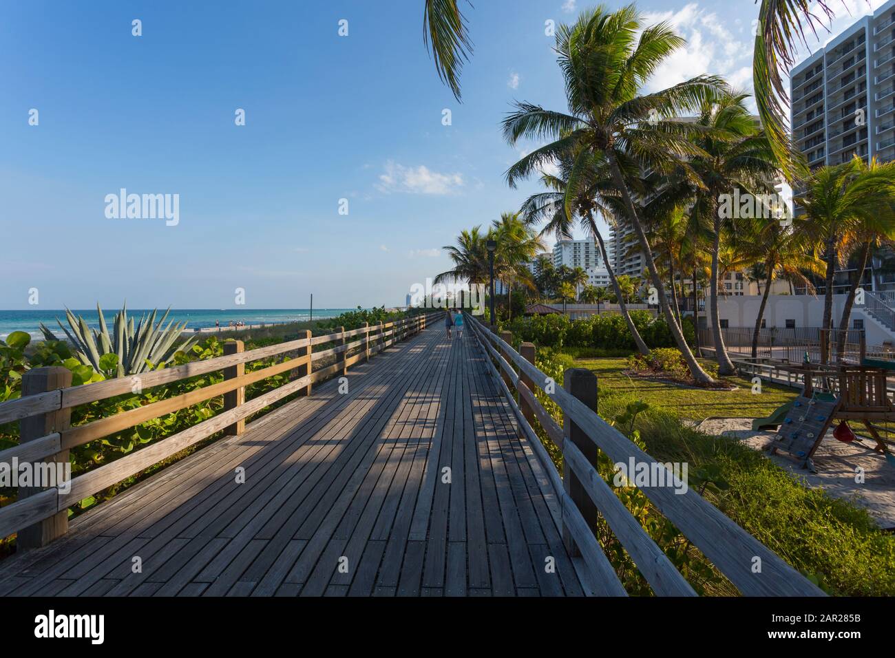 Promenade sur la plage et palmiers sur South Beach, Miami Beach, Miami, Floride, États-Unis d'Amérique, Amérique du Nord Banque D'Images Promenade sur la plage et palmiers sur South Beach, Miami Beach, Miami, Floride, États-Unis d'Amérique, Amérique du Nord Banque D'Images