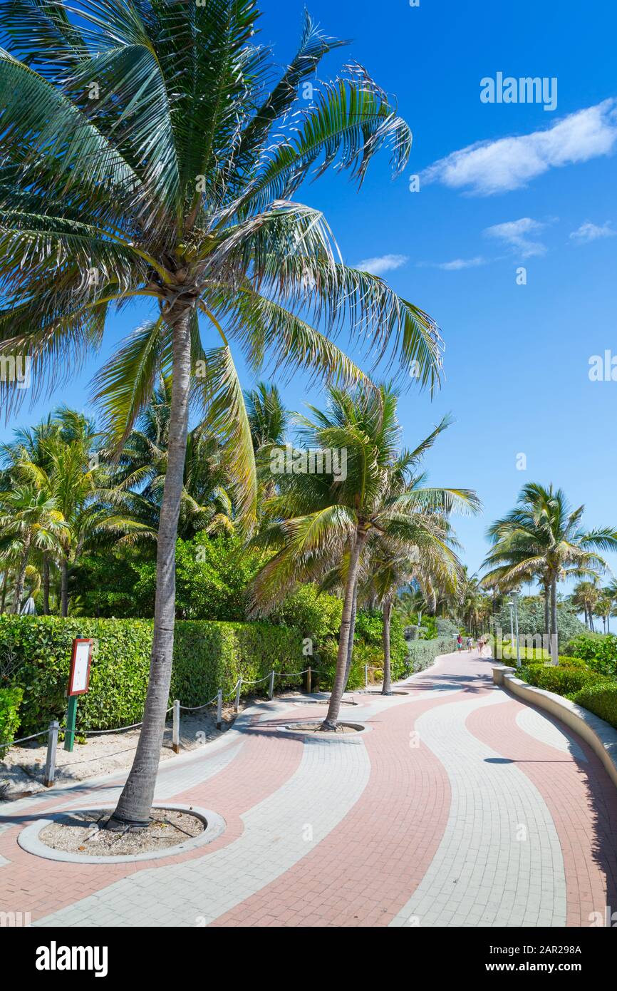 Promenade sur la plage et palmiers sur South Beach, Miami Beach, Miami, Floride, États-Unis d'Amérique, Amérique du Nord Banque D'Images Promenade sur la plage et palmiers sur South Beach, Miami Beach, Miami, Floride, États-Unis d'Amérique, Amérique du Nord Banque D'Images