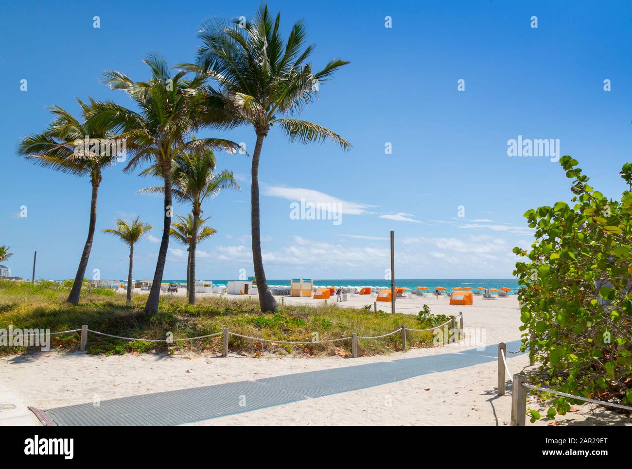 Promenade sur la plage et palmiers sur South Beach, Miami Beach, Miami, Floride, États-Unis d'Amérique, Amérique du Nord Banque D'Images Promenade sur la plage et palmiers sur South Beach, Miami Beach, Miami, Floride, États-Unis d'Amérique, Amérique du Nord Banque D'Images