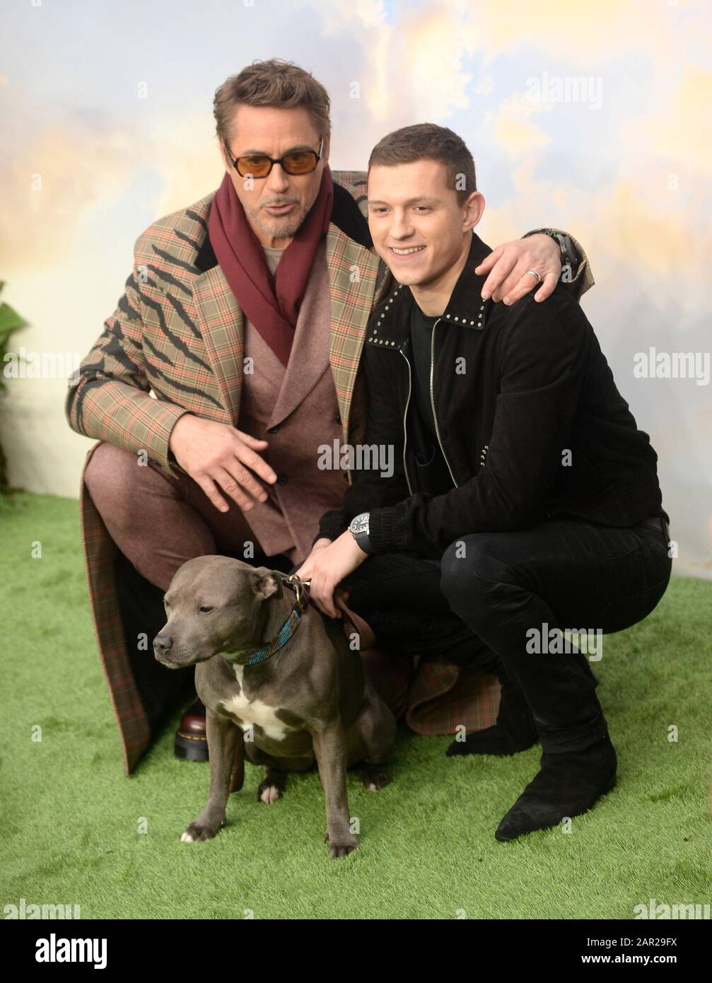 Robert Downey Jr Et Tom Banque De Photographies Et D images Haute robert-downey-jr-et-tom-banque-de-photographies-et-d-images-haute
