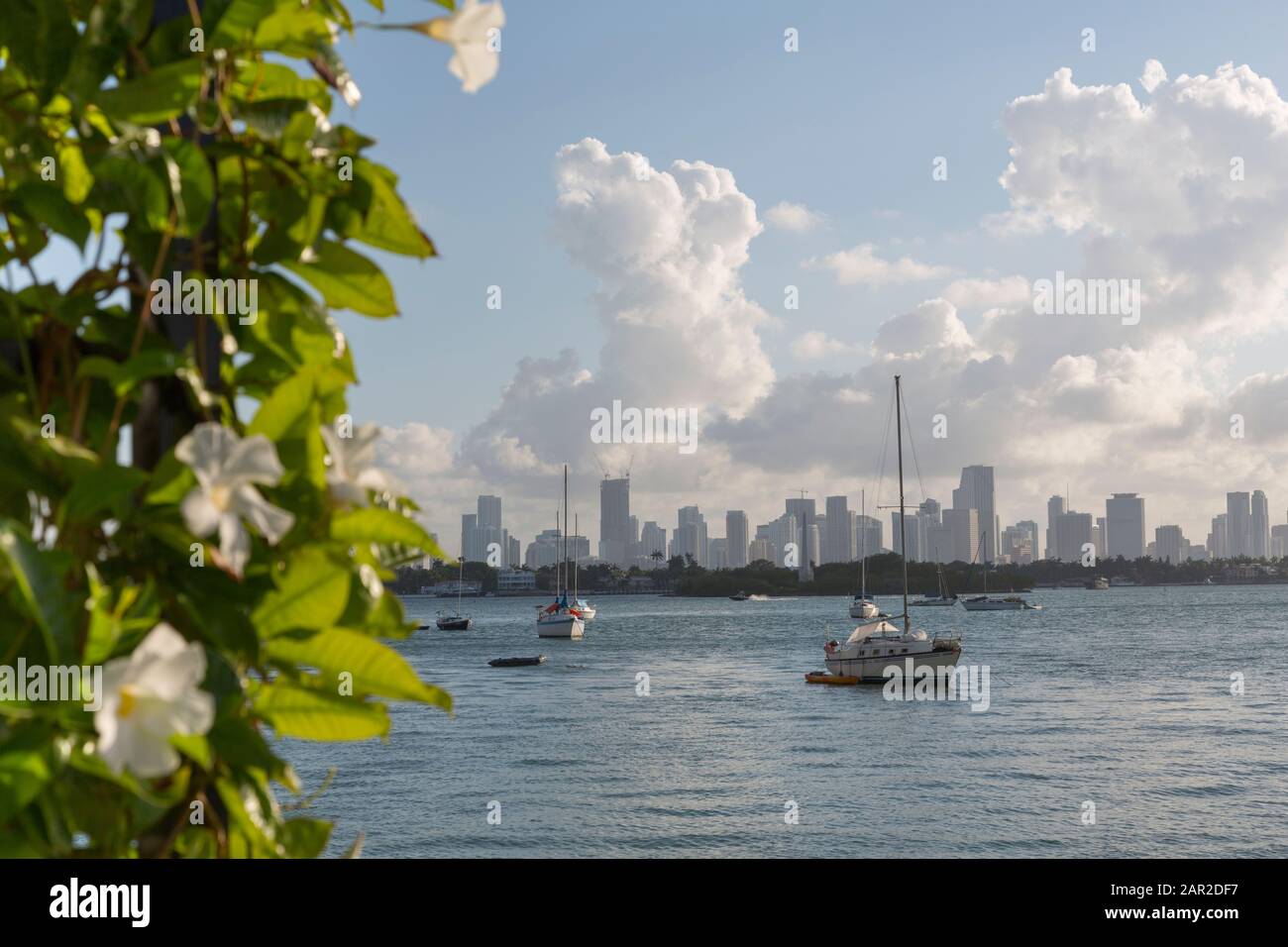 Vue sur le centre-ville depuis South Beach, Miami Beach, Miami, Floride, États-Unis d'Amérique, Amérique du Nord Banque D'Images Vue sur le centre-ville depuis South Beach, Miami Beach, Miami, Floride, États-Unis d'Amérique, Amérique du Nord Banque D'Images