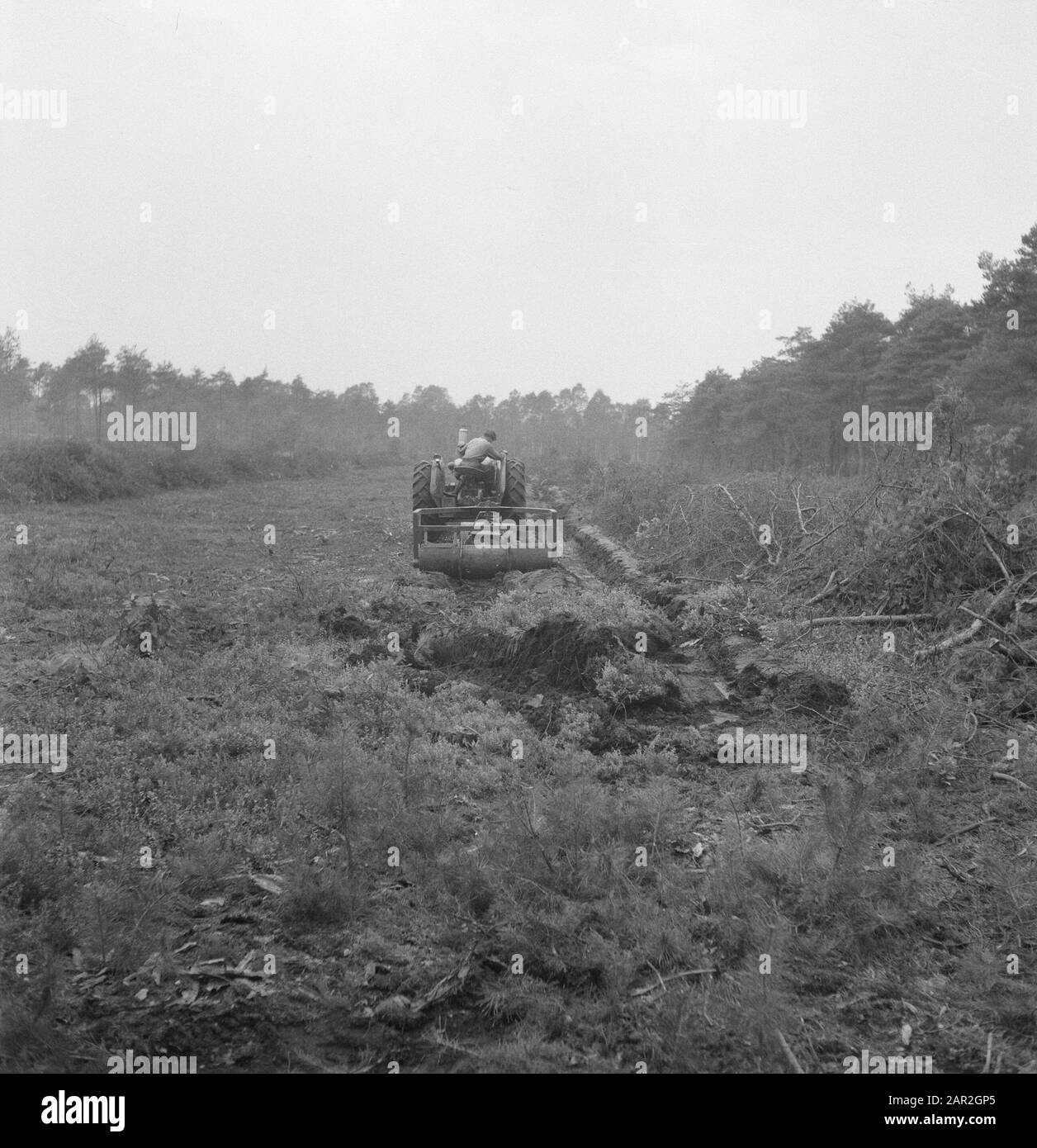 Tracteur avec un outil agricole engagé dans la fabrication de créneaux Date: Non daté mots clés: Travailleurs, forêts, outils agricoles Nom personnel: Tracteurs Banque D'Images