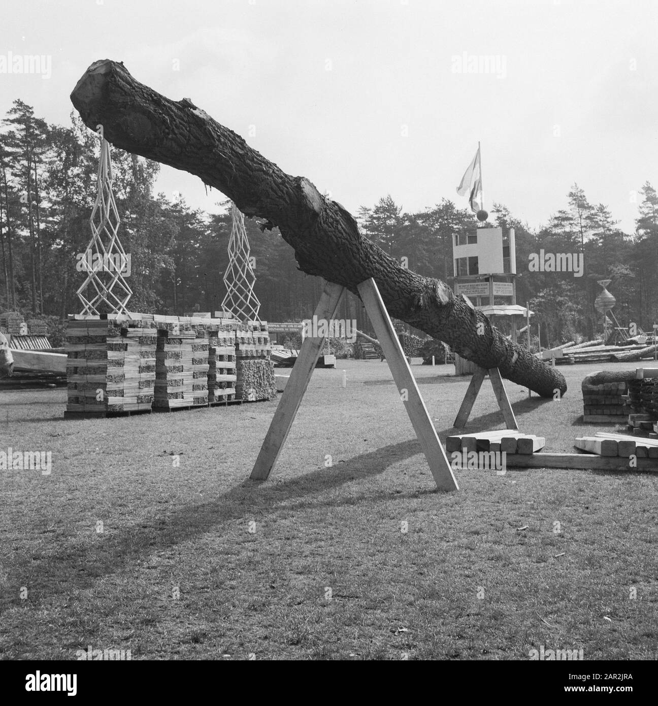 Industrie du bois Date: Non daté mots clés: Industrie du bois Banque D'Images