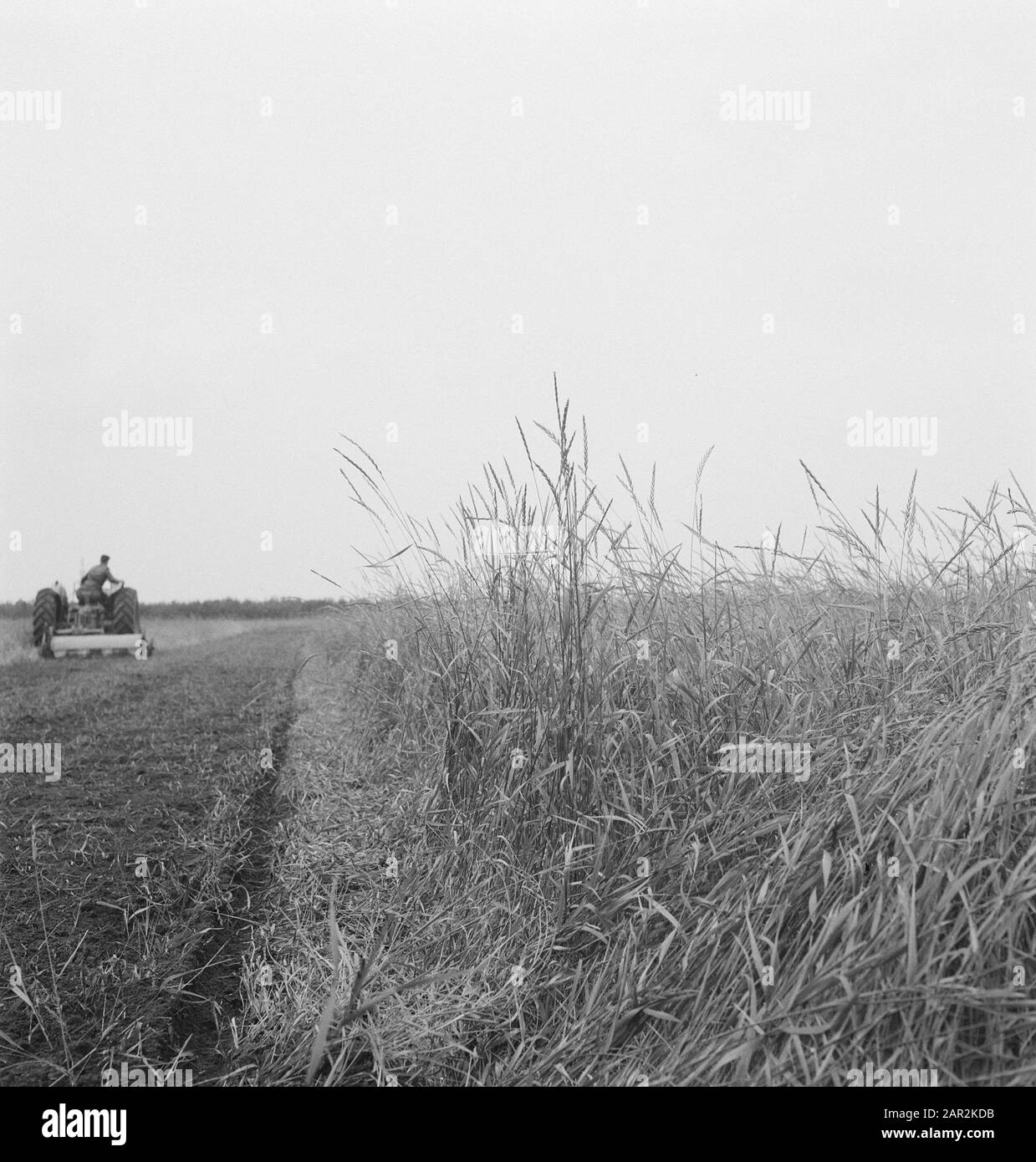 Herbage, labour, machinerie agricole, outils, herbages, tracteurs Date : non daté mots clés : herbages, herbages, labour, machinerie agricole, outils Nom personnel : tracteurs Banque D'Images
