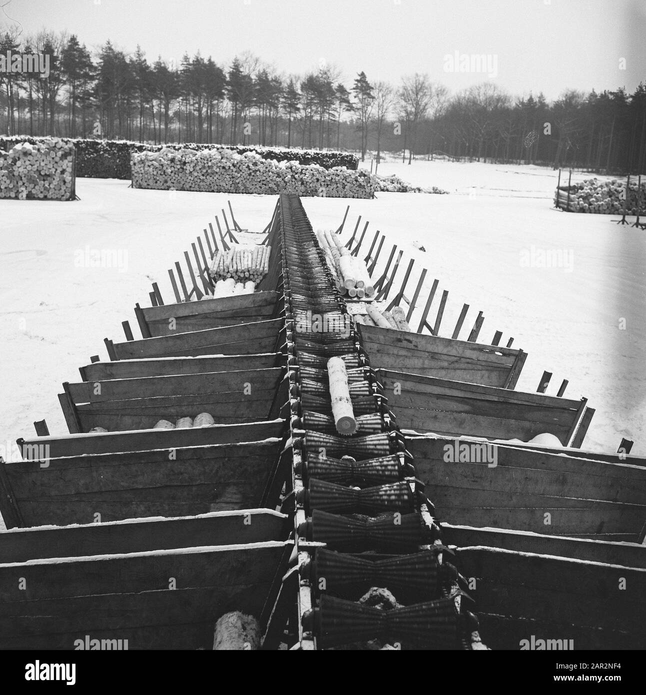 Travail du bois, grumes, tapis transporteurs, neige Date : non daté mots clés : troncs d'arbres, travail du bois, tapis d'assemblage, neige Banque D'Images