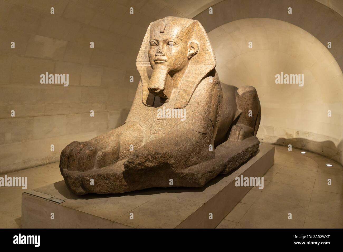 Le Grand Sphinx de Tanis est exposé dans l'aile Sully du Musée du Louvre (Musée du Louvre) à Paris, France Banque D'Images