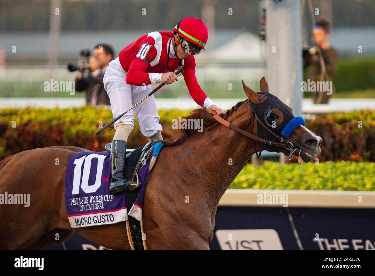 Hallandale Beach, FL, États-Unis. 25 janvier 2020. Hallandale BEACH, FL - 25 JANVIER : Mucho Gusto, #10, monté par Jockey Irad Ortiz, Jr., remporte la coupe du monde 2020 de Pegasus le 25 janvier 2020 au parc Gulfstream à Hallandale Beach, Floride. Kaz Ishida/Eclipse Sportswire/Csm/Alay Live News Banque D'Images