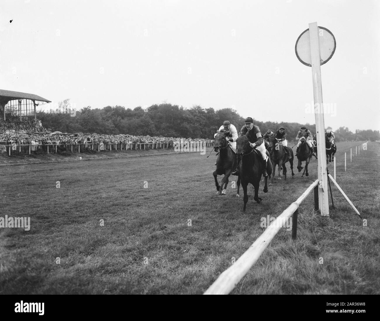 Pays de trotting Pays-Bas Belgique Date: 25 septembre 1955 mots clés: Trotting et course, équestre, sport Banque D'Images