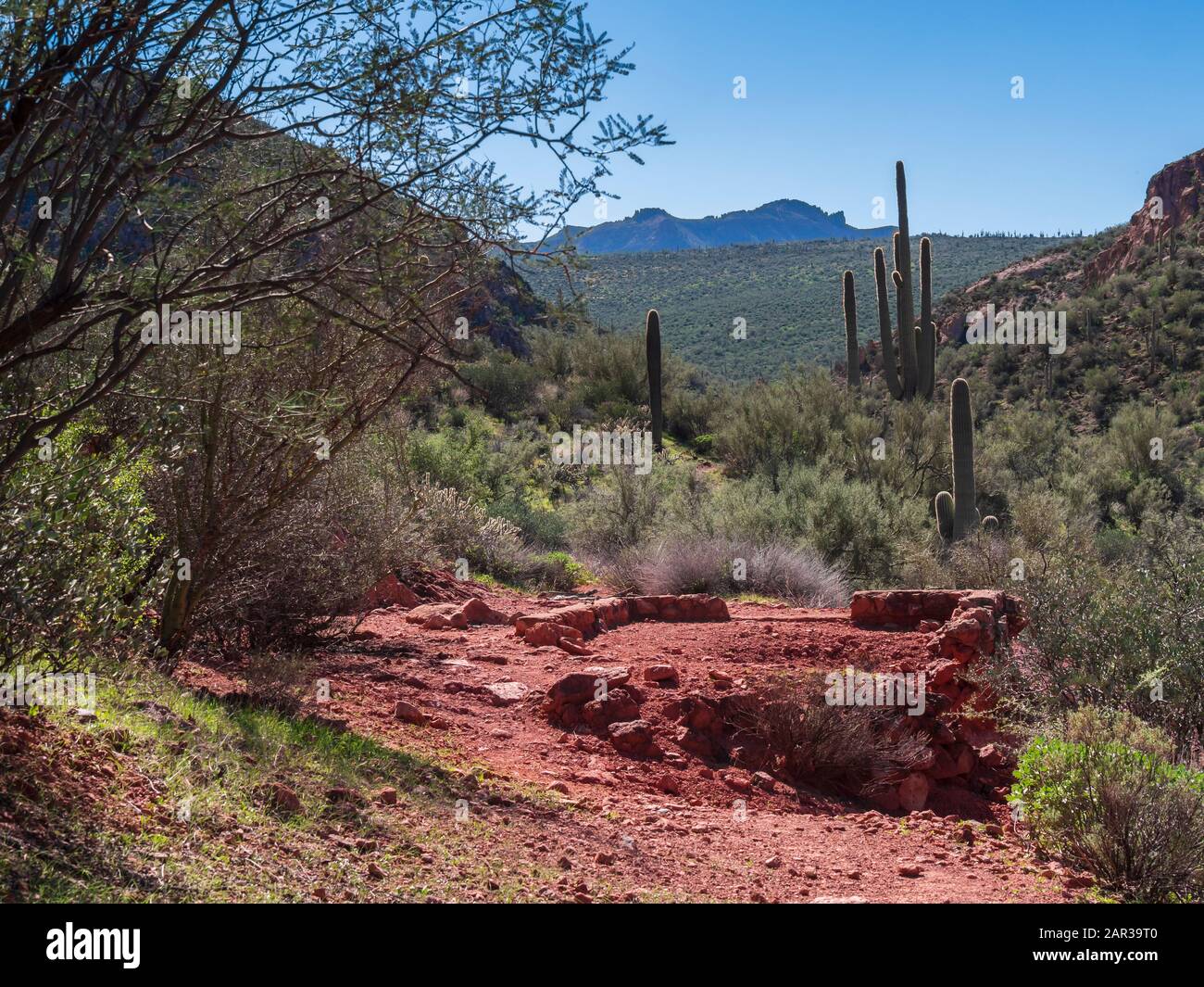 Les restes d'une fondation de mine abandonnée probablement construite vers 1956 par Ralph Morris, Indian Paint Mine, Superstition Wilderness, Arizona. Banque D'Images
