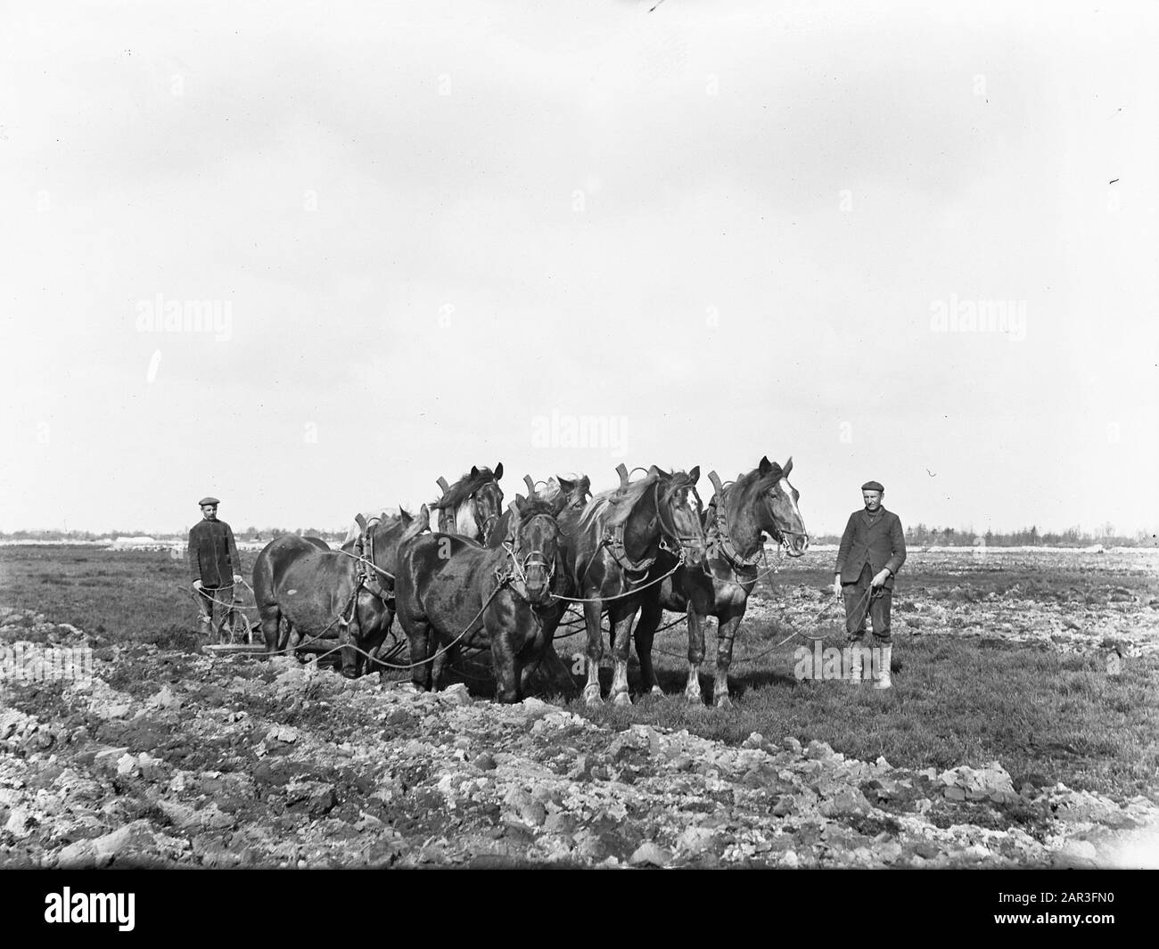 Exploitation minière, travail du sol, nivellement, assermenté, labourage, chevaux Date : 1925 mots clés : sondage, nivellement, travail du sol, exploitation minière, chevaux, labourage Banque D'Images