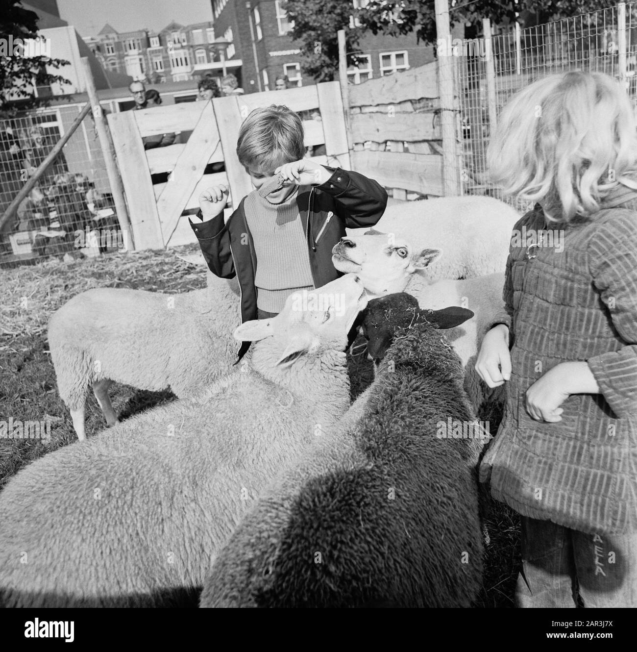 Les enfants qui dessinant des animaux sur la place du Museumplein à Amsterdam en raison de la Journée mondiale des animaux Date: 4 octobre 1973 lieu: Amsterdam, Noord-Holland mots clés: Animal, enfants, SIGNATURE Banque D'Images