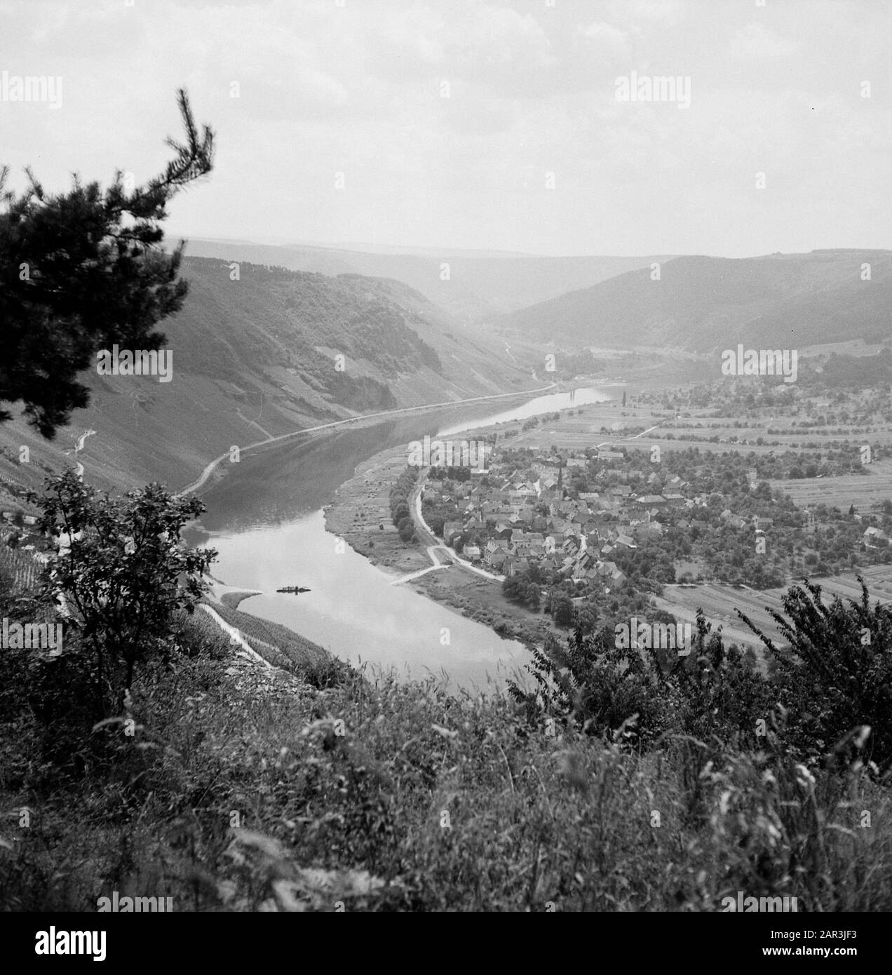 Moselle Loup sur la Moselle vu des collines au-dessus de Kröv Date: Juillet 1959 lieu: Allemagne, Kröv, Rhénanie-Palatinat, Allemagne de l'Ouest mots clés: Villages, collines, paysages, panoramas, rivières Banque D'Images Moselle Loup sur la Moselle vu des collines au-dessus de Kröv Date: Juillet 1959 lieu: Allemagne, Kröv, Rhénanie-Palatinat, Allemagne de l'Ouest mots clés: Villages, collines, paysages, panoramas, rivières Banque D'Images