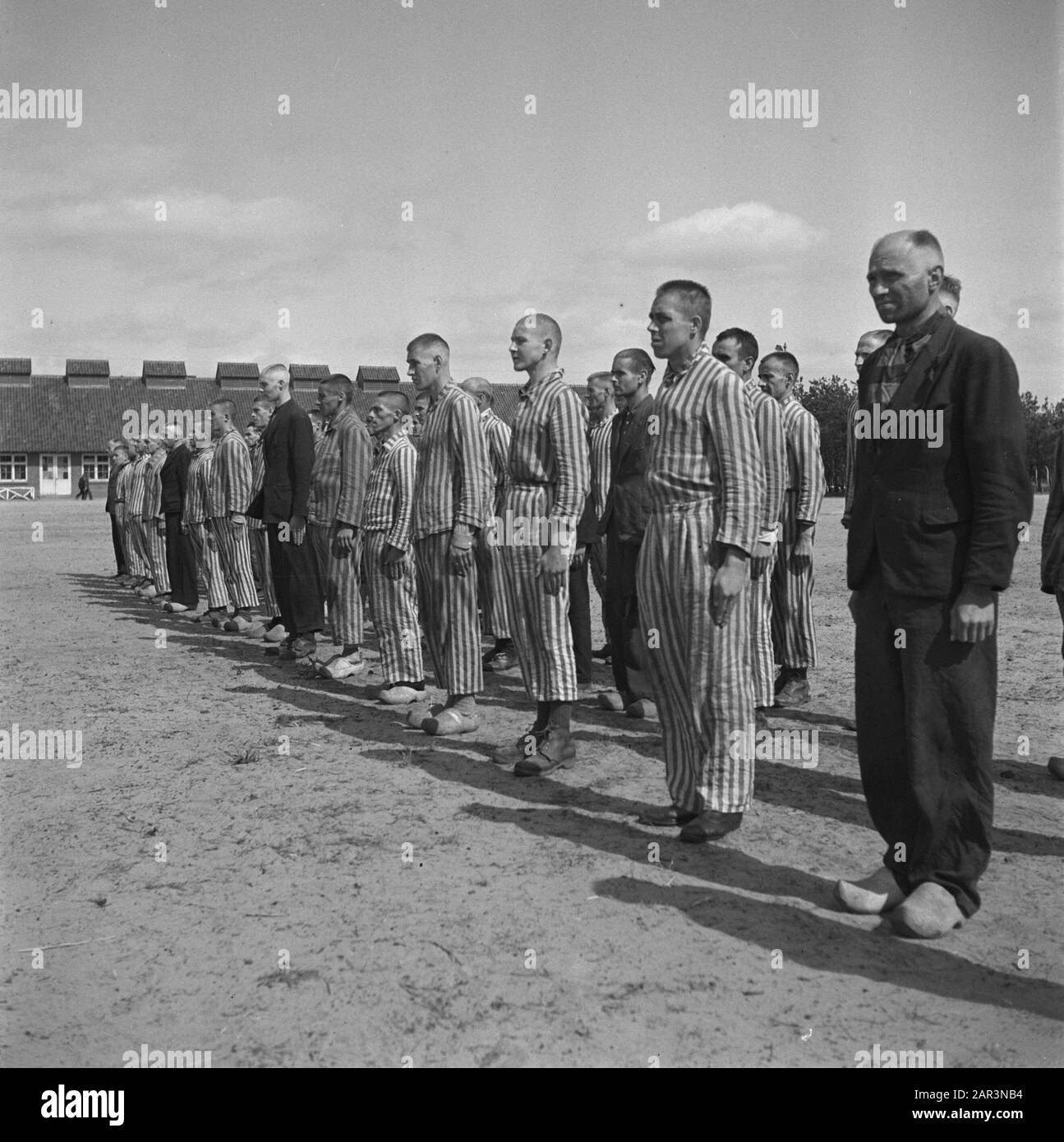 Reportage du camp de Vught Dans le camp criminel de Vught, 7000 collaborateurs et traîtres néerlandais sont enfermés. Les soldats des Néerlandais Stoottroopers sont en charge de la garde, en particulier des 300 Néerlandais SS. Sous la direction du commandant du camp, Le Major L. Mennes et ses aides, ces prisonniers sont utilisés pour purifier les environs de Vught des mines terrestres. Ils sont habillés dans les paquets de prison à rayures bleu-blanc de l'ancien néerlandais capturé par les Allemands. Les prisonniers reçoivent la ration civile minimale, qui a également été réduite, parce que toutes les friandises ont été supprimées Banque D'Images