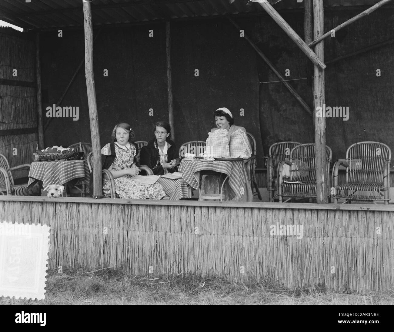 Compétition Nationale Hippique Den Haag De Princess Date : 17 Août 1951 Lieu : La Haye, Zuid-Holland Mots Clés : Concours, Princesse Banque D'Images