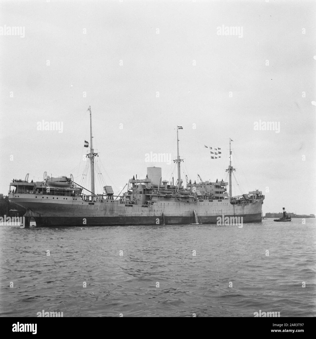 Tarakan (navire) Accueil de l'annotation Tarakan : le cargo ms' Tarakan '(1930) du navire à vapeur' Nederland '(SMN) retourne comme premier navire du SMN, sous le capitaine J.B. Roeterink, après une absence de cinq ans et demi de guerre en mer, de retour à Amsterdam. Date: 5 Septembre 1945 Lieu: Amsterdam Mots Clés: Expédition, Navires Banque D'Images