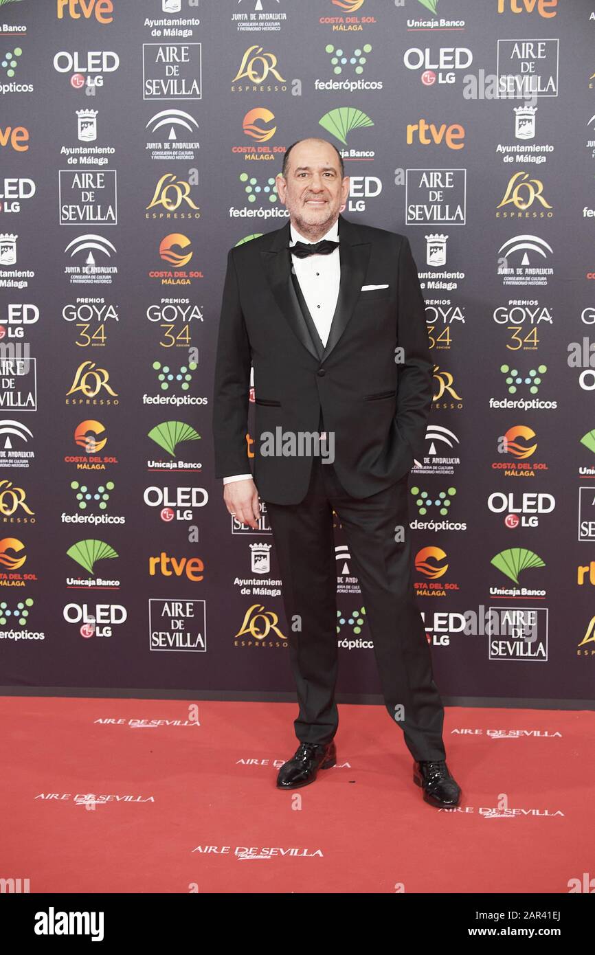 25 Janvier 2020, Malaga, Andalousie, Espagne: Karra Elejalde Assiste Au 34ème Goya Cinema Awards 2020 - Red Carpet Au Stade Jose Maria Martin Carpena Le 26 Janvier 2020 À Malaga, Espagne (Credit Image: © Jack Abuin/Zuma Wire) Banque D'Images