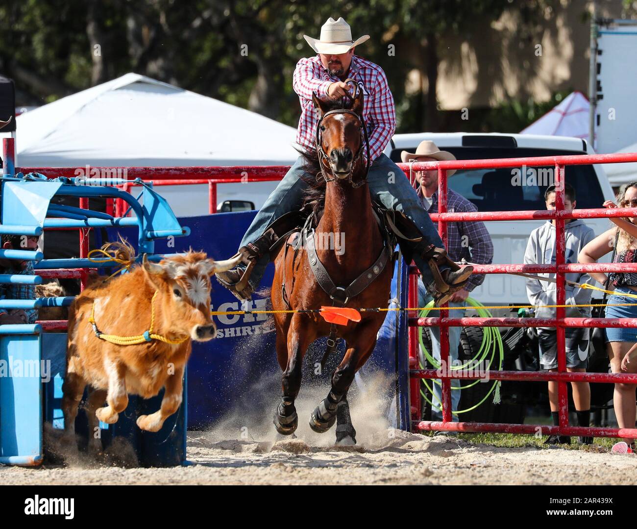 Homestead, Floride, États-Unis. 25 janvier 2020. Kamry Dymmek participe à l'événement Steer Wrestling lors du 71ème rodéo de championnat Homestead au Doc DeMilly Rodeo Arena de Harris Field à Homestead, en Floride. Mario Houben/Csm/Alay Live News Banque D'Images