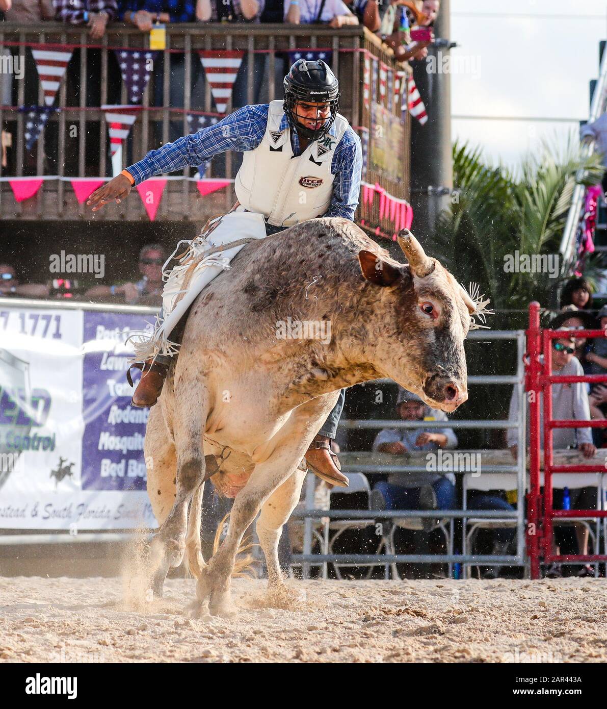 Homestead, Floride, États-Unis. 25 janvier 2020. Tevin Cameron participe à l'événement Bull Riding lors du 71ème rodéo du championnat Homestead au Doc DeMilly Rodeo Arena de Harris Field à Homestead, en Floride. Mario Houben/Csm/Alay Live News Banque D'Images