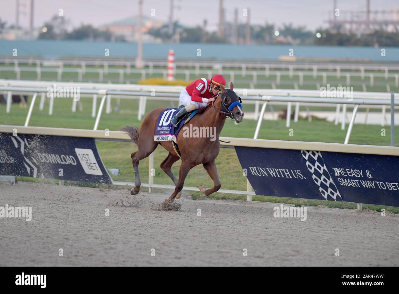 Hallandale, États-Unis D'Amérique. 25 janvier 2020. Hallandale, FLORIDE- 25 JANVIER: Mucho Gusto avec Irad Ortiz UP remporte la coupe du monde de Pegasus au parc Gulfstream le 25 janvier 2020 à Hallandale, Floride Personnes: Mucho Gusto, Irad Ortiz Jr crédit: Storms Media Group/Alay Live News Banque D'Images