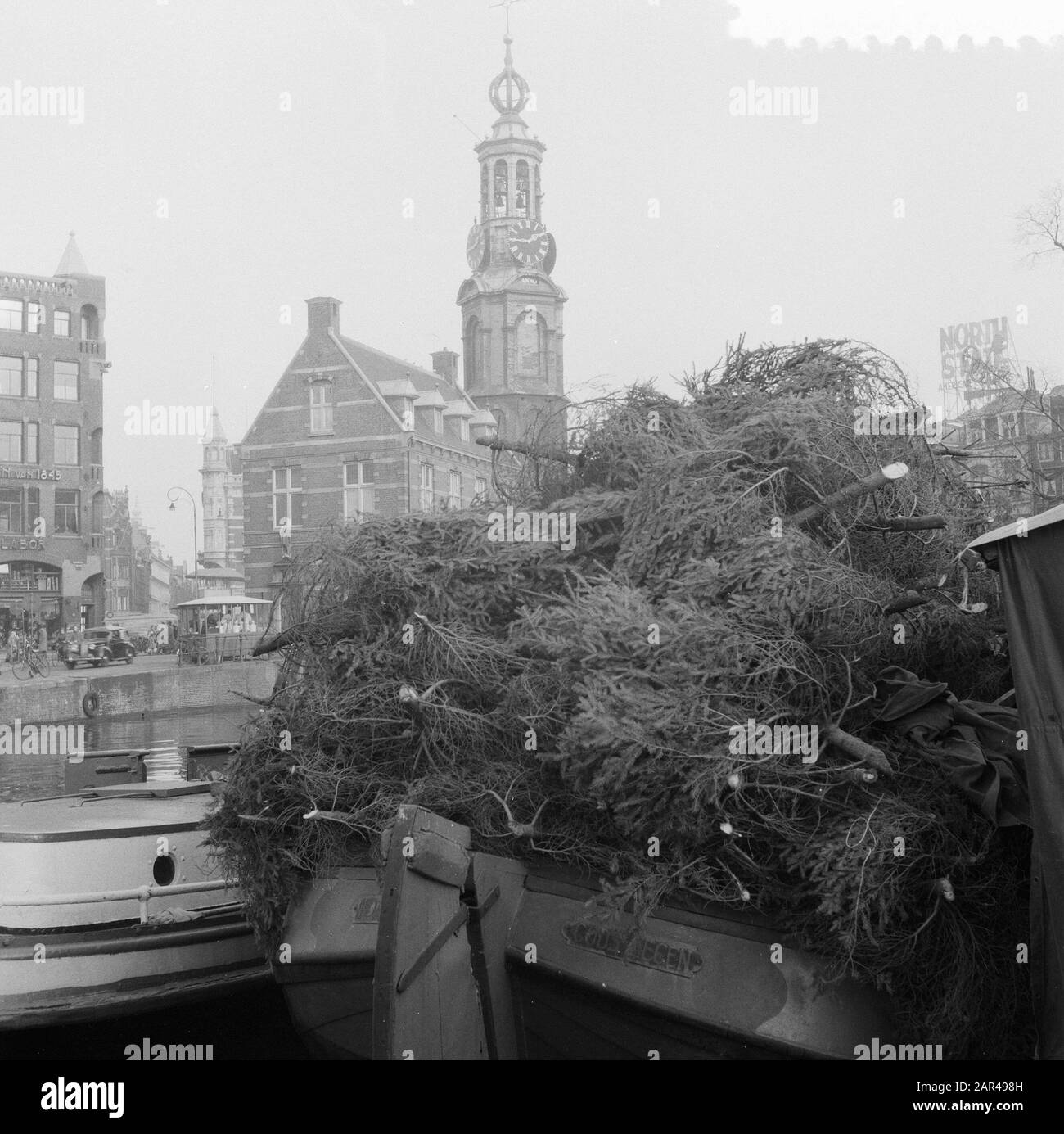 Kersttreenmarkt Singel Amsterdam Date : 4 Décembre 1953 Lieu : Amsterdam, Noord-Holland Mots Clés : Marché Des Arbres De Noël Banque D'Images