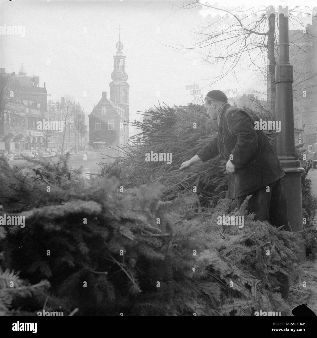 Marché des arbres de Noël au Singel Amsterdam Date : 2 décembre 1957 lieu : Amsterdam, Noord-Holland mots clés : arbres de Noël, marchés Banque D'Images