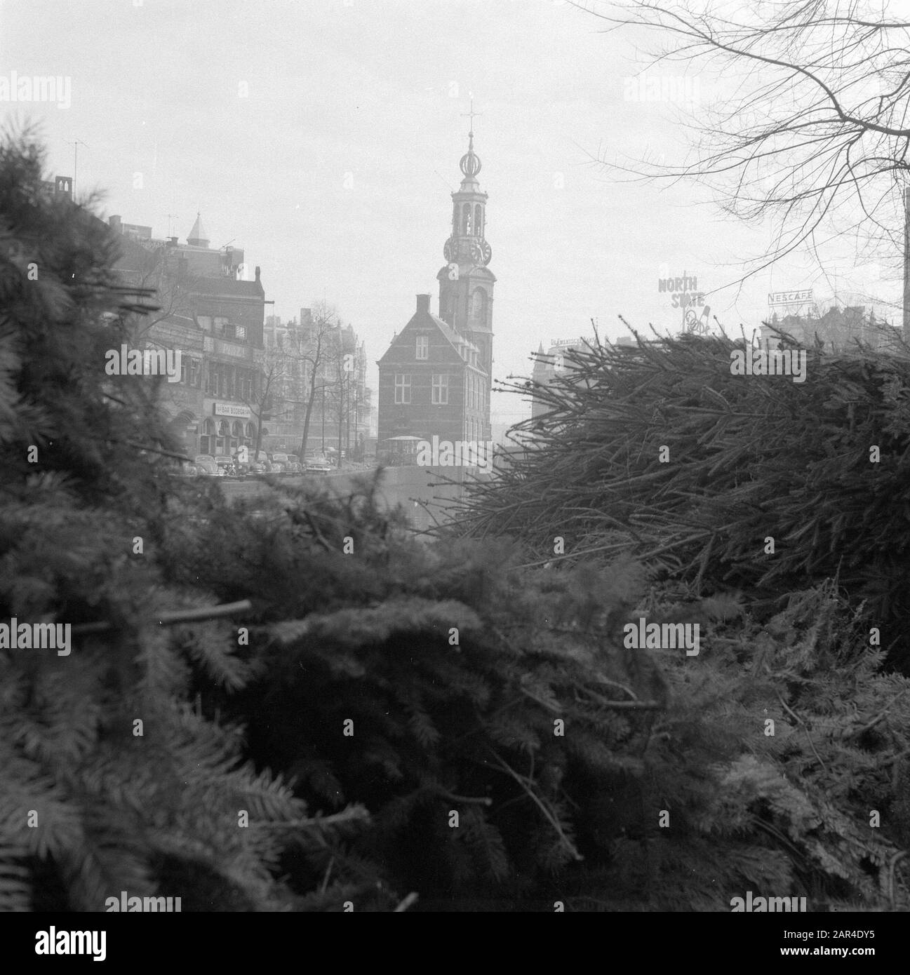 Marché des arbres de Noël au Singel Amsterdam Date : 2 décembre 1957 lieu : Amsterdam, Noord-Holland mots clés : arbres de Noël, marchés Banque D'Images
