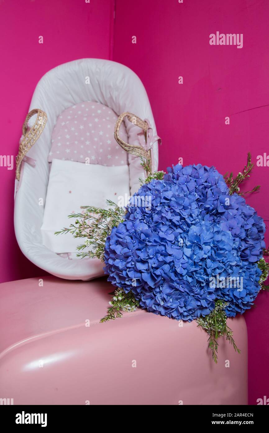 Gros plan de l'hortensia bleu Hydangea macrophylla sont en fleurs . fleur d'orchidée gros plan . pétales de fleurs bleues, branche avec fleurs d'hortensia bleues Banque D'Images