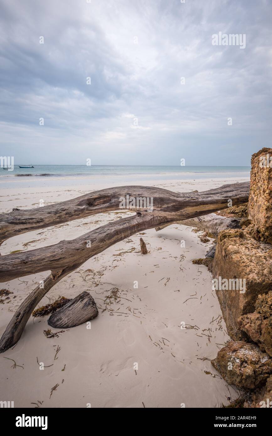 Watamu, Diani plage paysage Kenya, Zanzibar, Tanzanie masai maasai et vélo sur la plage Banque D'Images Watamu, Diani plage paysage Kenya, Zanzibar, Tanzanie masai maasai et vélo sur la plage Banque D'Images