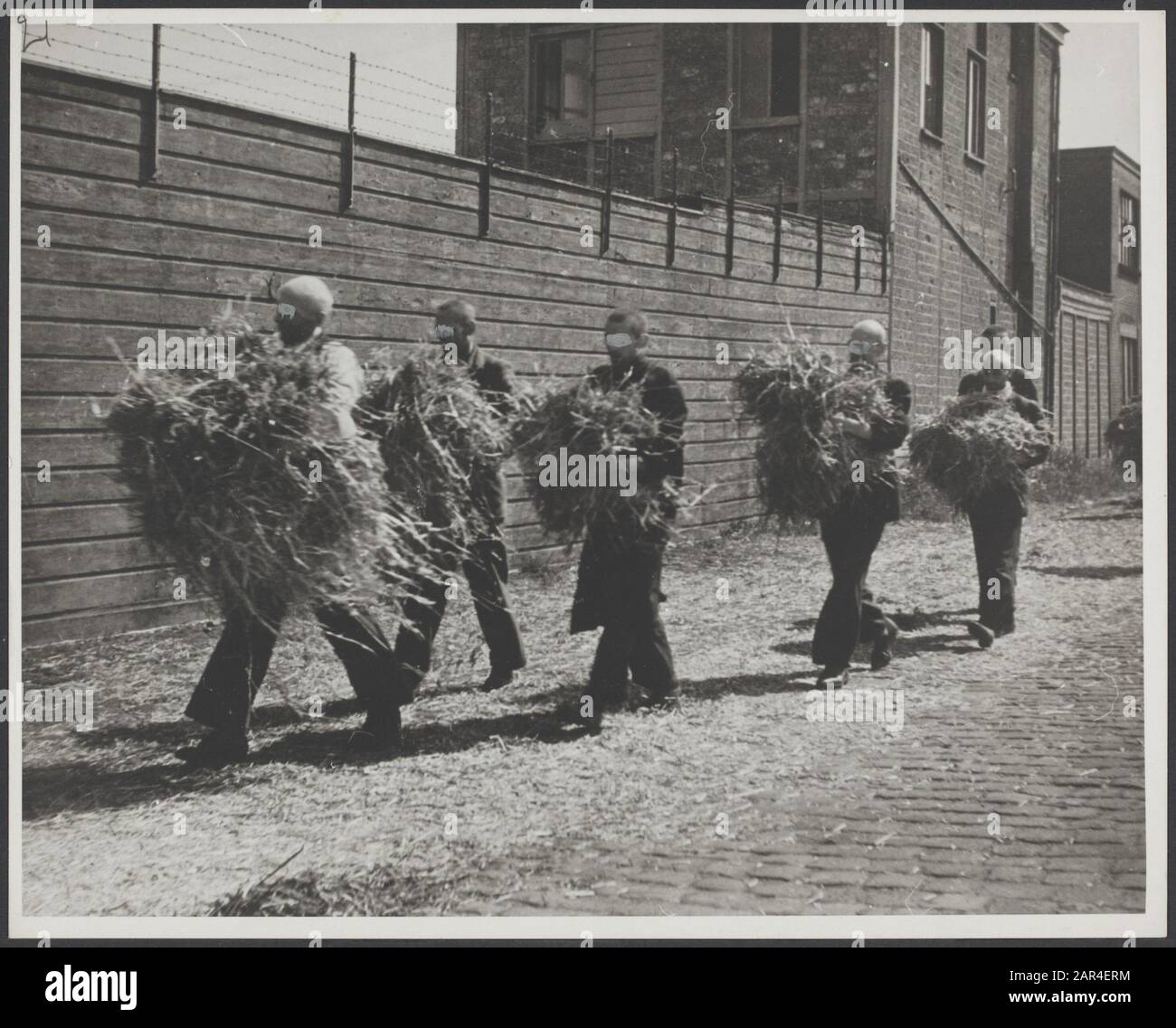 Collaboration Pays-Bas. Interneringskamp Levantkade À Amsterdam. Hommes chercher du foin pour dormir endroit: Pays-Bas mots clés: Guerres, guerre Banque D'Images