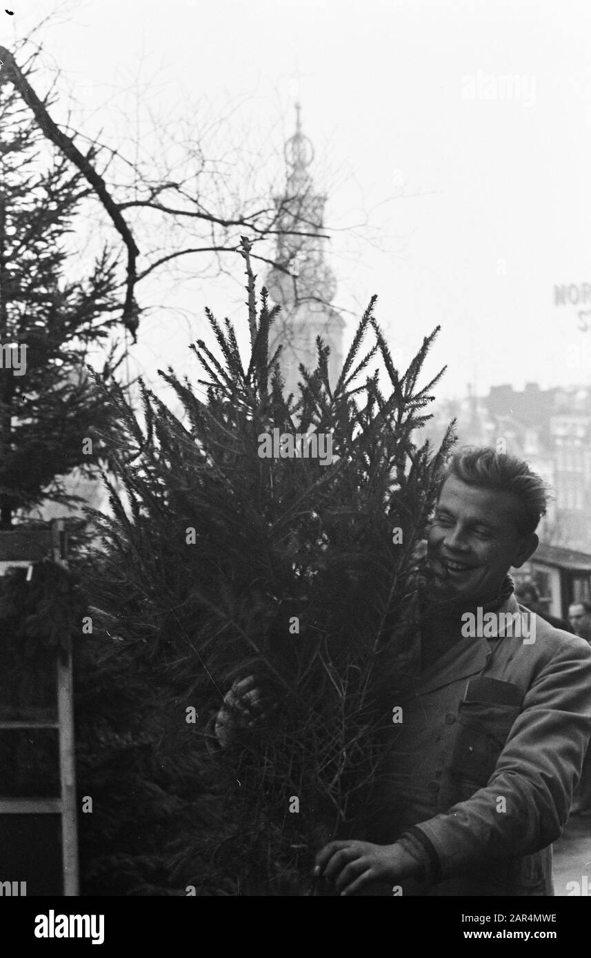 Premiers arbres de Noël sur le marché des fleurs à Amsterdam Date: 8 décembre 1959 lieu: Amsterdam, Noord-Holland mots clés: CHRISTREES, marchés des fleurs Banque D'Images