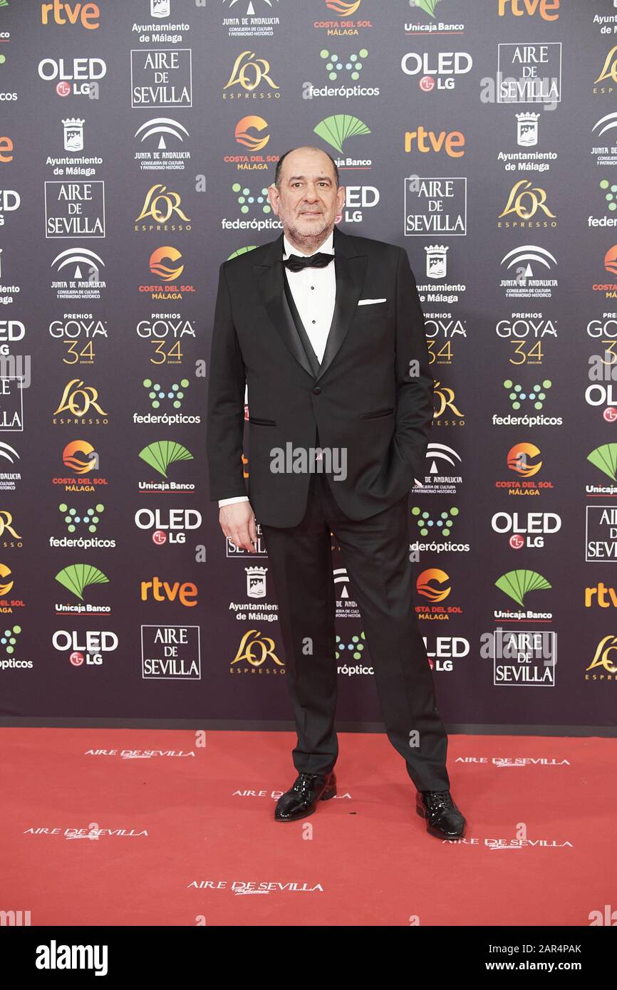 25 Janvier 2020, Malaga, Andalousie, Espagne: Karra Elejalde Assiste Au 34ème Goya Cinema Awards 2020 - Red Carpet Au Stade Jose Maria Martin Carpena Le 26 Janvier 2020 À Malaga, Espagne (Credit Image: © Jack Abuin/Zuma Wire) Banque D'Images