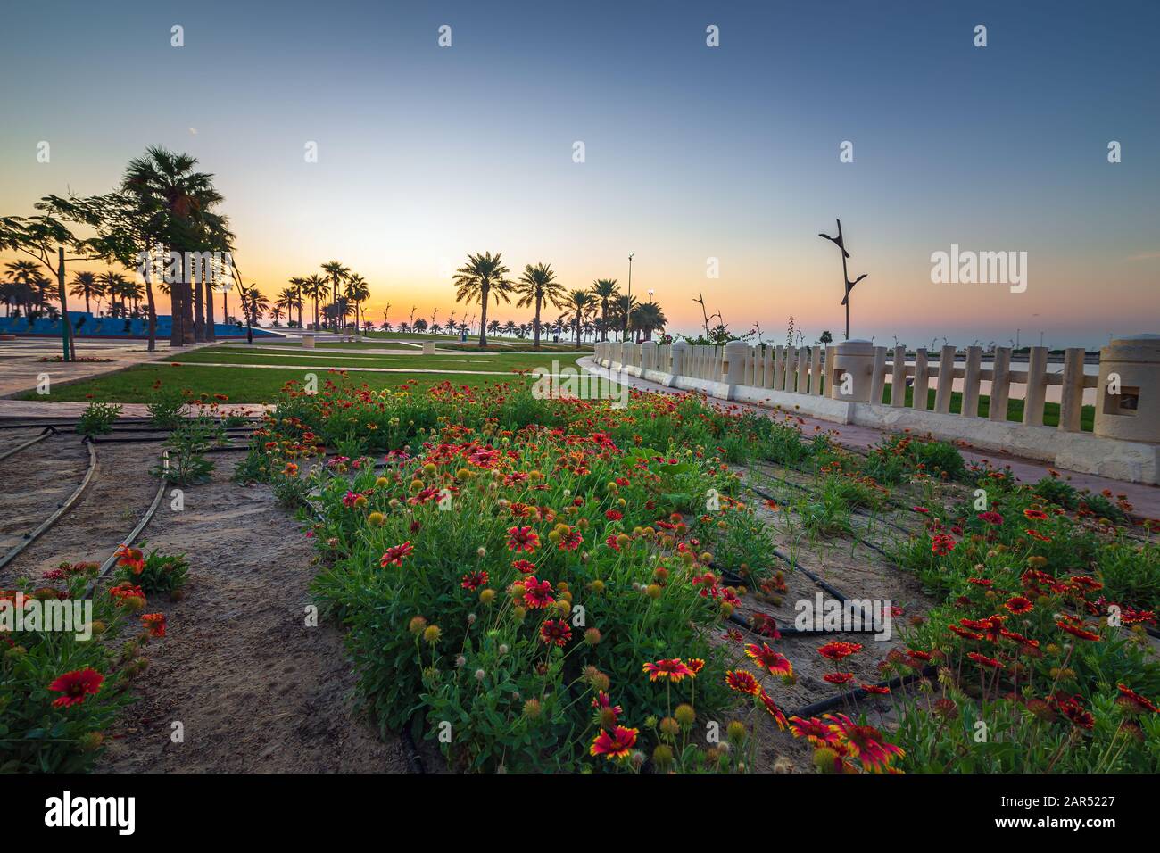 Beaux jardins fleuris à l'intérieur du parc Al khobar - Ville : Khobar, Arabie Saoudite. Banque D'Images