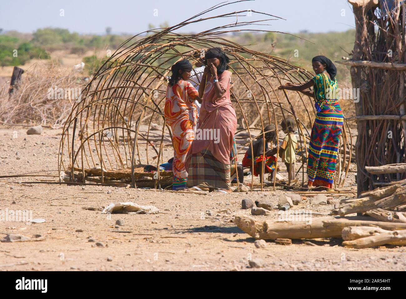Jeunes femmes Afar construisant une tente nomade, région d'Afar, Ethiopie. Les ancêtres des Afar ont installé des terres agricoles dans les hautes terres éthiopiennes un peu de temps befo Banque D'Images