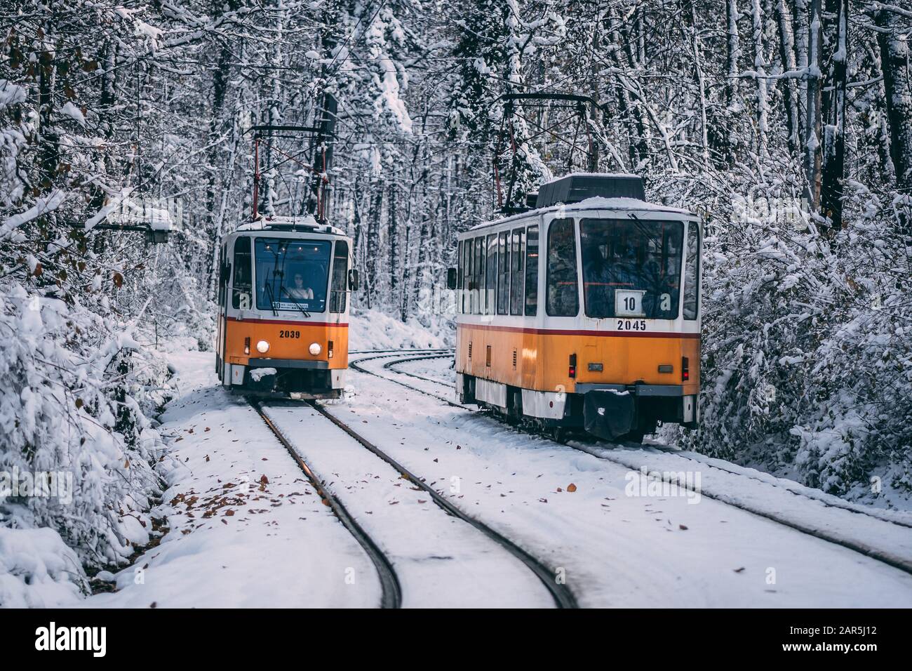 Sofia, BULGARIE - 29 novembre 2017 : trams passant par le parc Borisova Gradina Banque D'Images