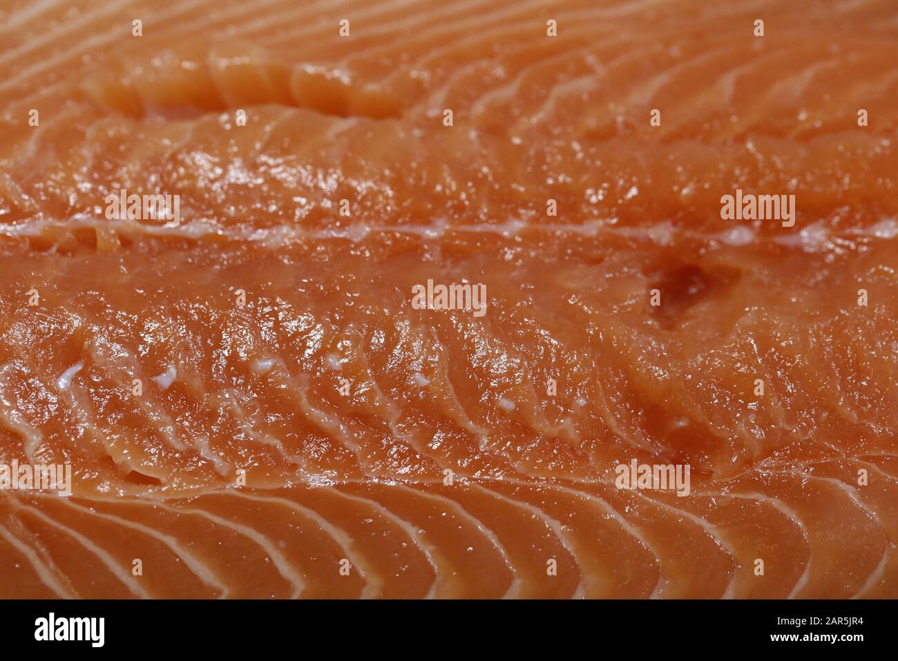 Filet de saumon norvégien dans une clôture. Belle couleur rouge et texture. Préparer un dîner de poisson sain et délicieux. Photo couleur. Banque D'Images