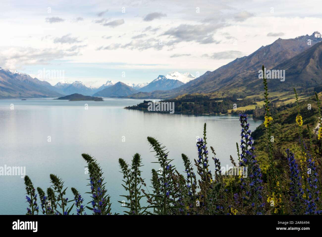 Lac Wakatipu près de Glenorchy sur l'île du Sud de la Nouvelle-Zélande Banque D'Images