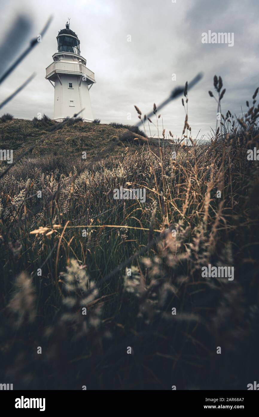 Phare De Waipapa Point, Nouvelle-Zélande Banque D'Images