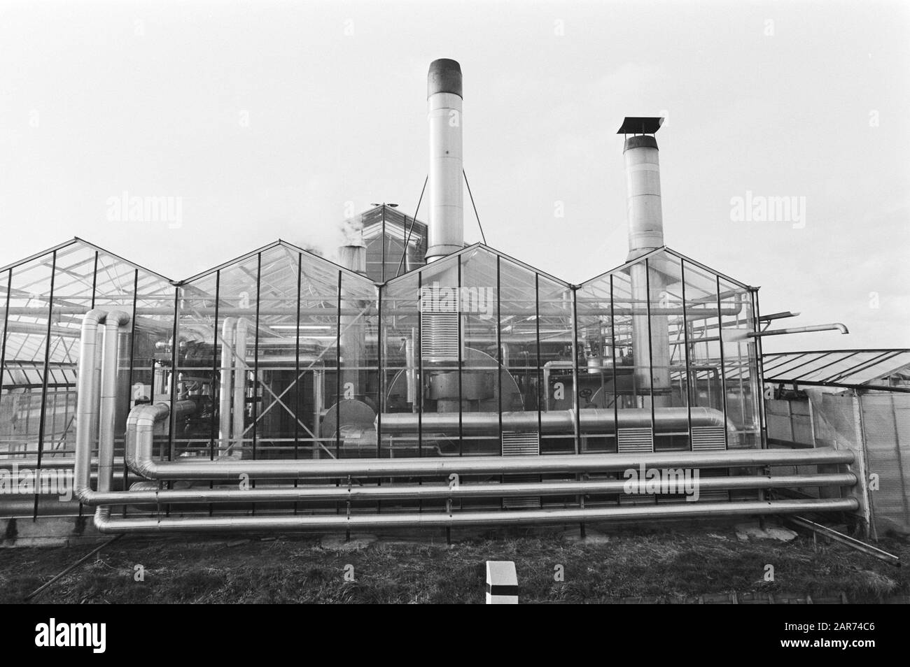 À divers endroits de Westland cette semaine, on a trouvé du bromure de méthyle agronomique dans l'eau potable, des serres dans l'Ouest Date : le 5 janvier 1981 mots clés : poison agronomique Nom personnel : méthyle -bromure Banque D'Images