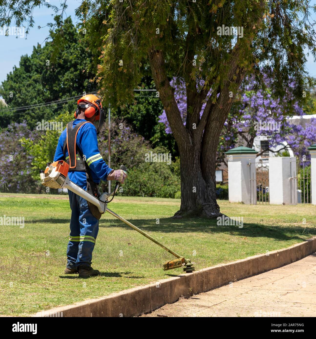 Homme portant des vêtements de protection et un casque de sécurité qui déborde d'herbe dans un jardin. Le Cap Occidental, Afrique Du Sud Banque D'Images