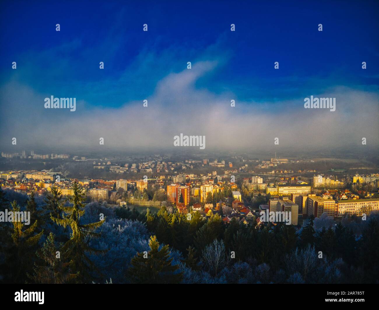 Vue aérienne sur la forêt de pins le matin d'hiver froid avec lumière du soleil tôt chaude ville européenne Banque D'Images